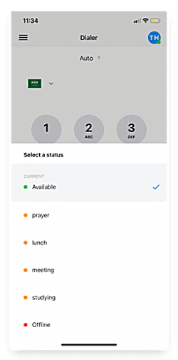 Mobile App Dialer Status EN 3